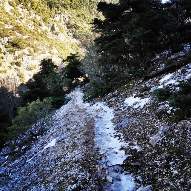 Winter_Hiking_Parnitha_20181230_110243_977