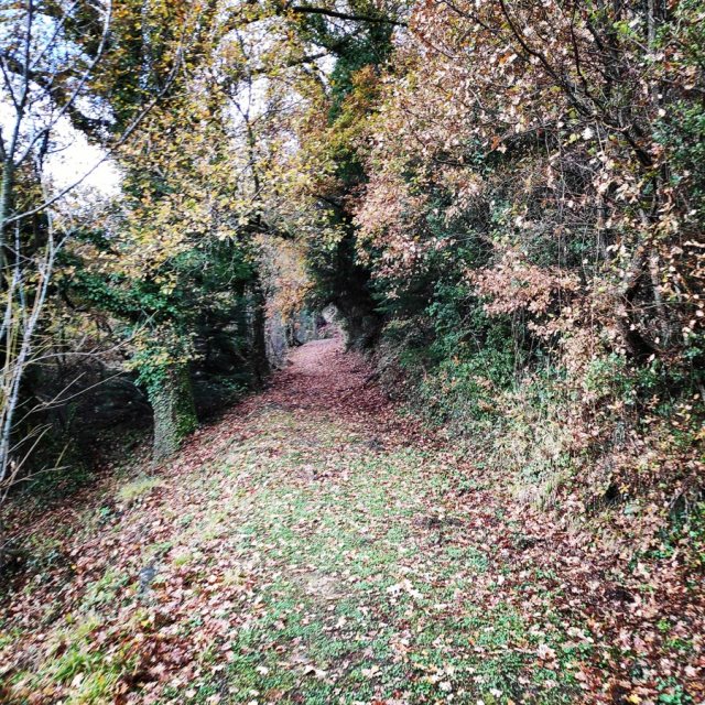 Gardiki-Zarouchla-Aroania-Arete-Helmos_20181210_071215_954