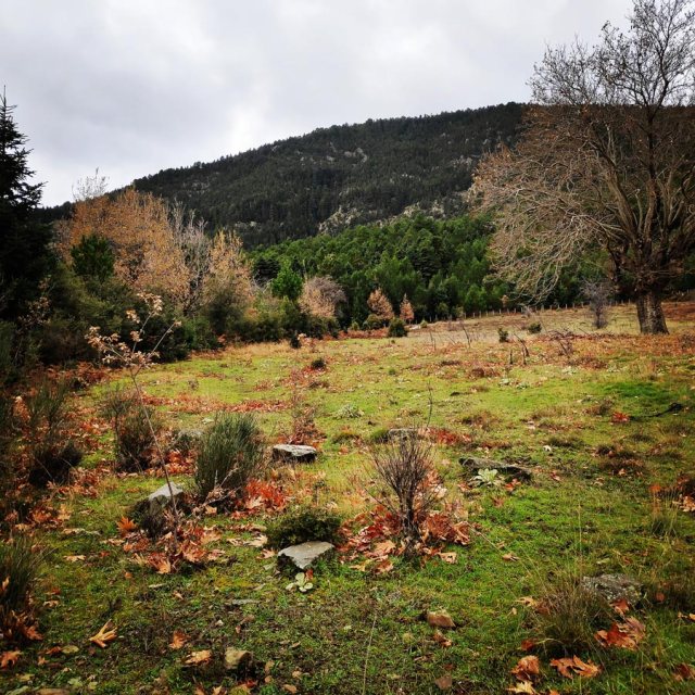 Gardiki-Zarouchla-Aroania-Arete-Helmos_20181210_071251_126