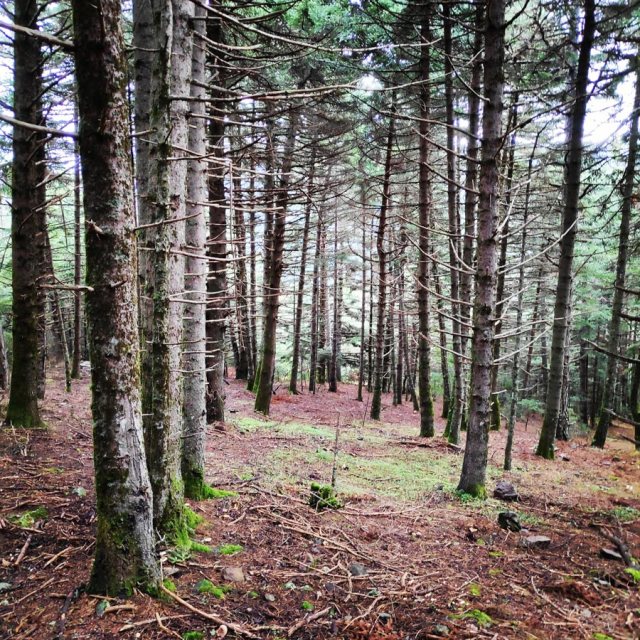 Gardiki-Zarouchla-Aroania-Arete-Helmos_20181210_071324_604