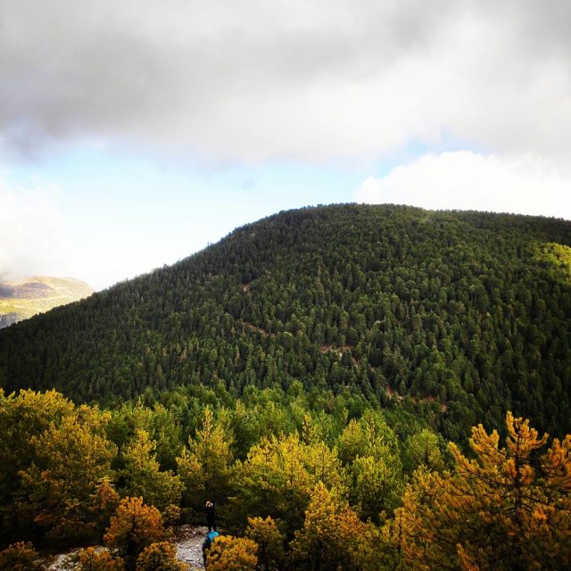 Gardiki-Zarouchla-Aroania-Arete-Helmos_20181210_071859_305