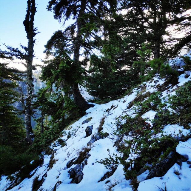 Gardiki-Zarouchla-Aroania-Arete-Helmos_20181210_072315_726