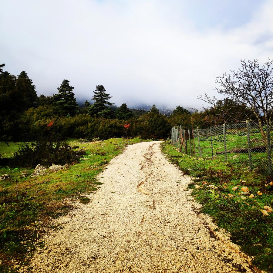 elikonas_helicon_mountain_winter_hike_20190126_165425_540