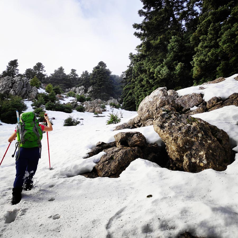 elikonas_helicon_mountain_winter_hike_20190126_170034_634