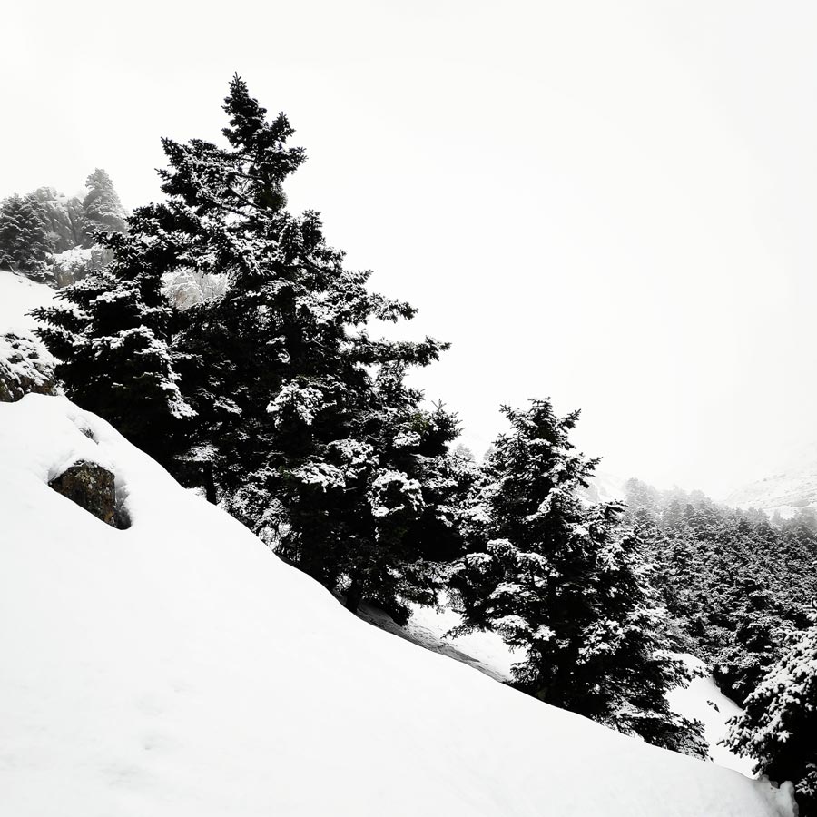 elikonas_helicon_mountain_winter_hike_20190126_170436_957