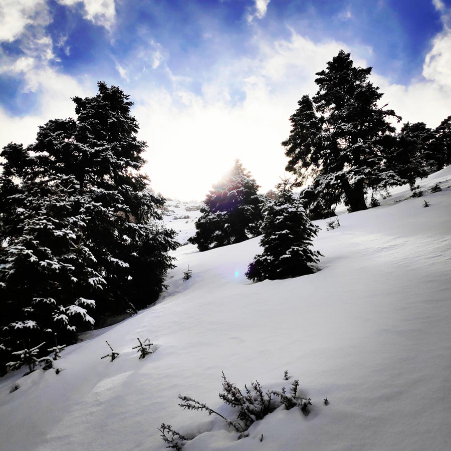 elikonas_helicon_mountain_winter_hike_20190126_170829_976