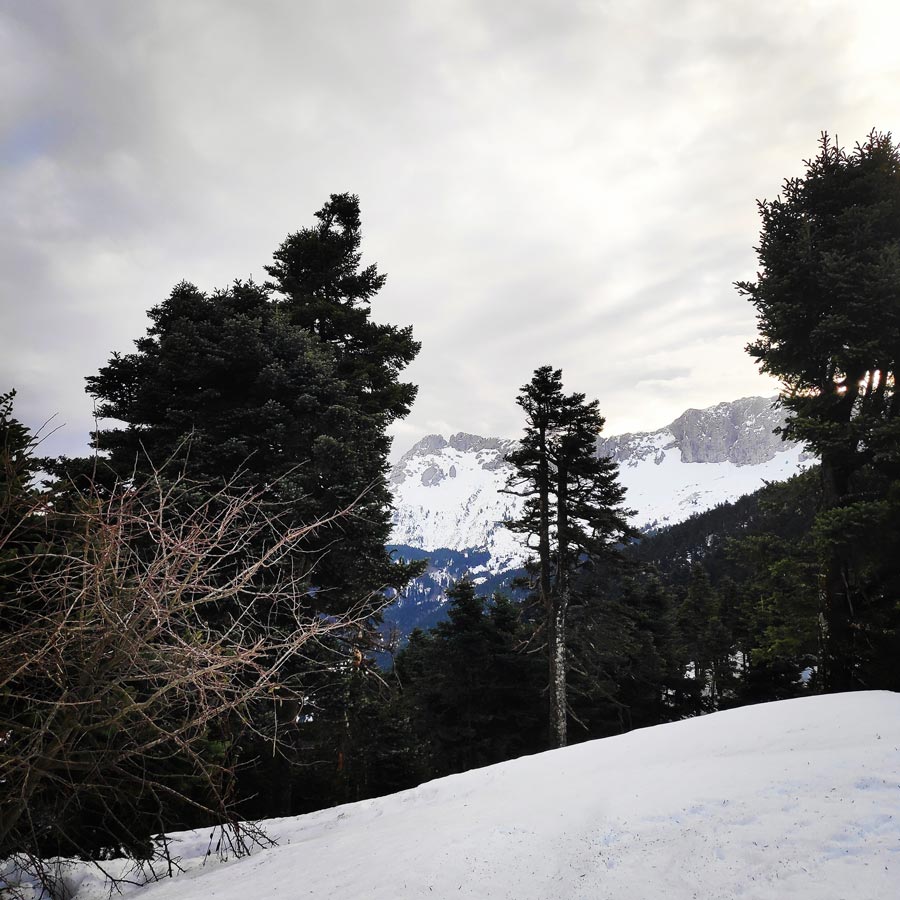 xerovouni_evia_alpine_climb_20190120_193610_685