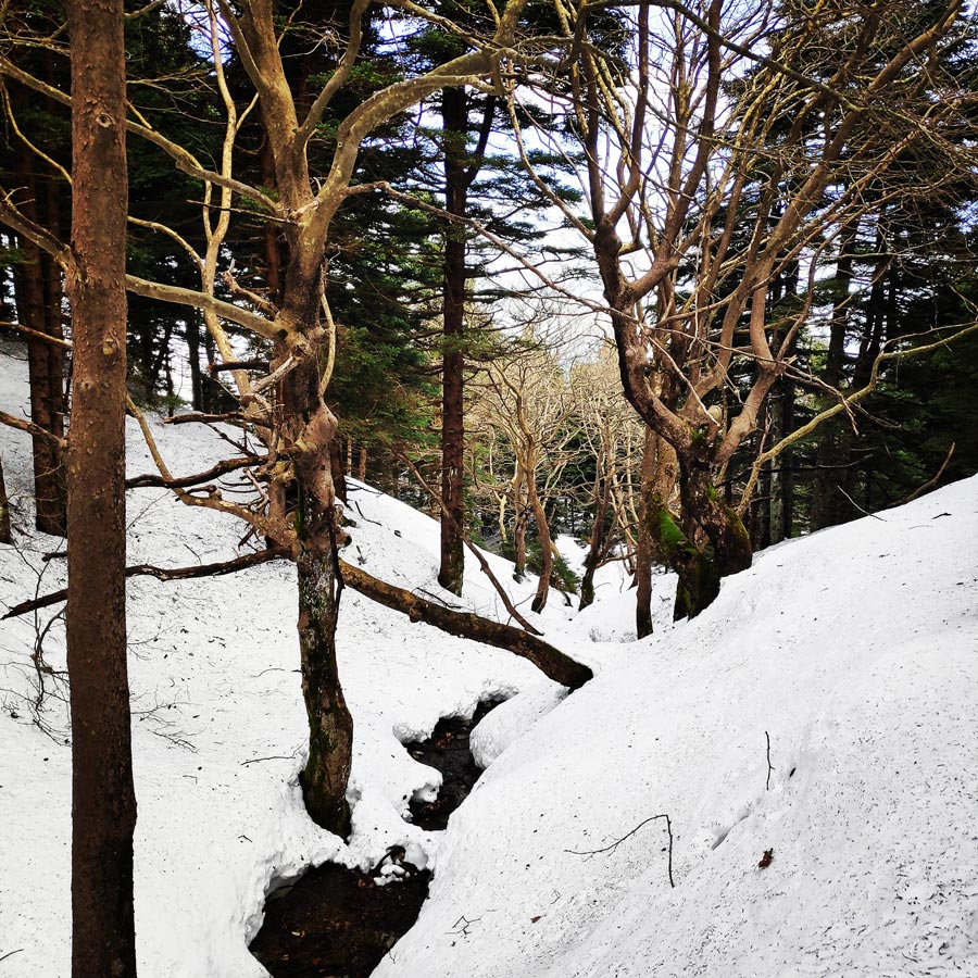 xerovouni_evia_alpine_climb_20190120_195312_355