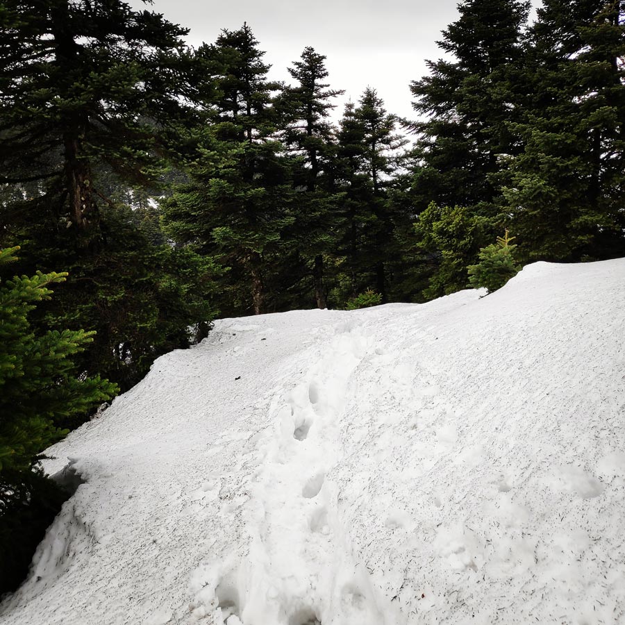 xerovouni_evia_alpine_climb_20190120_200113_239