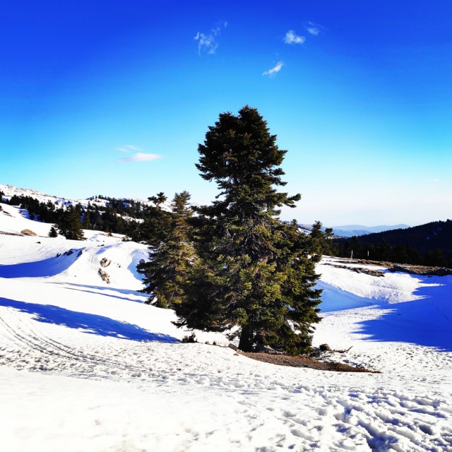 Parnassos_Mountain_Leader_Seminar_20190327_085453_251