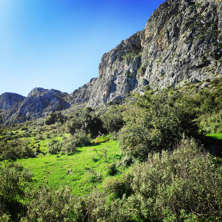 Solomos_Tsoumba_Climbing_Crag_20190311_181901_215