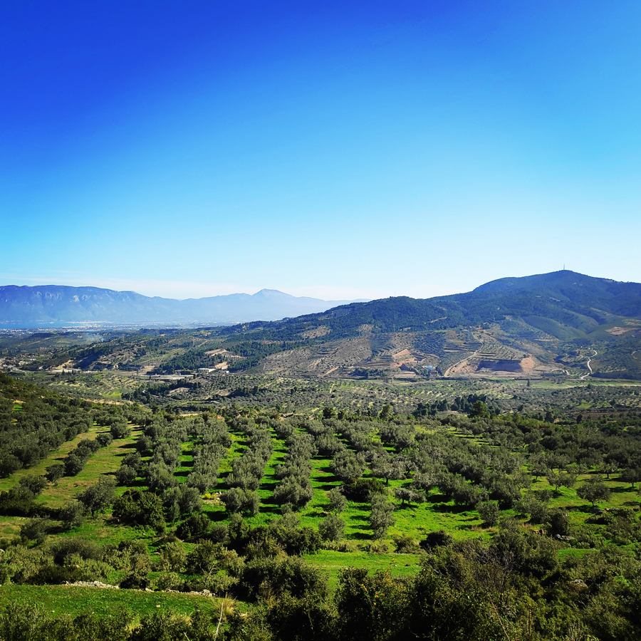 Solomos_Tsoumba_Climbing_Crag_20190311_182052_000