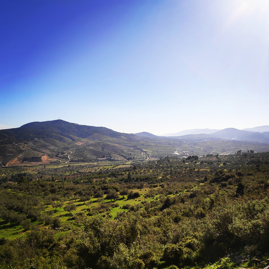 Solomos_Tsoumba_Climbing_Crag_20190311_182439_468