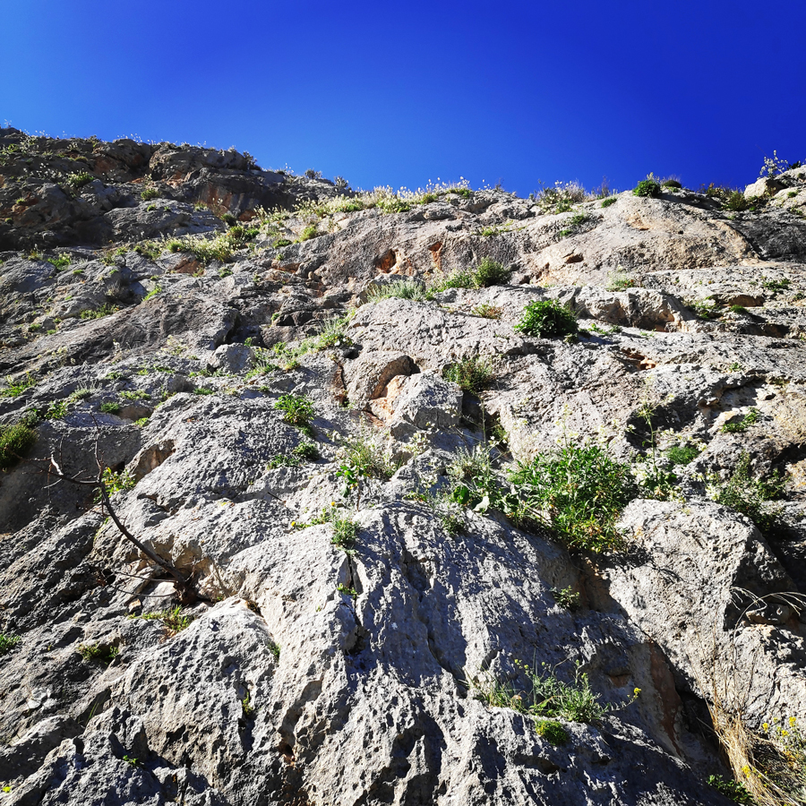 Solomos_Tsoumba_Climbing_Crag_20190311_182527_508