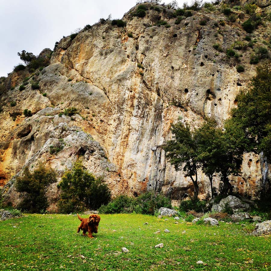 Climbing_Epos_Fylis_Athens_Greece_20190407_200728_213