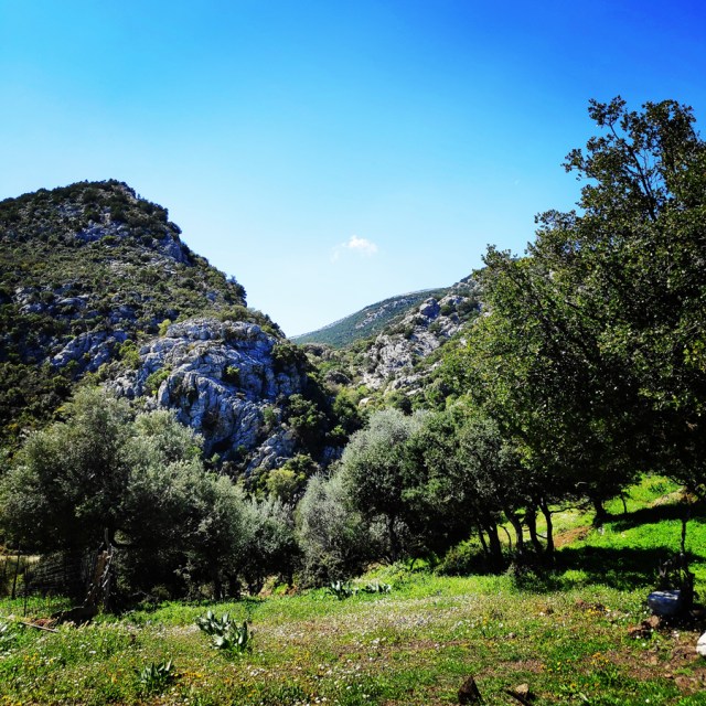Climbing_Rock_Of_Ages_Argolis_Greece_20190401_082304_527