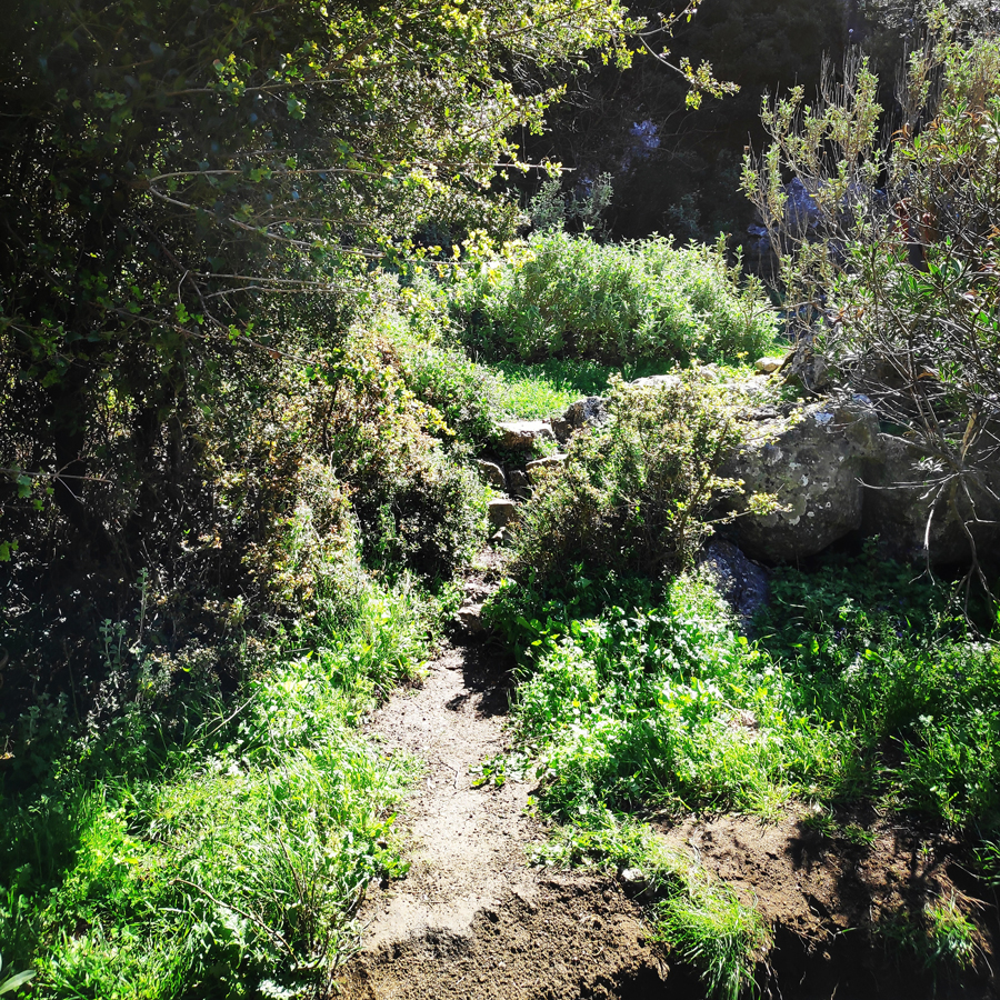 Climbing_Rock_Of_Ages_Argolis_Greece_20190401_082319_909