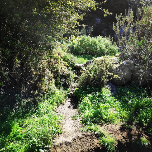 Climbing_Rock_Of_Ages_Argolis_Greece_20190401_082319_909