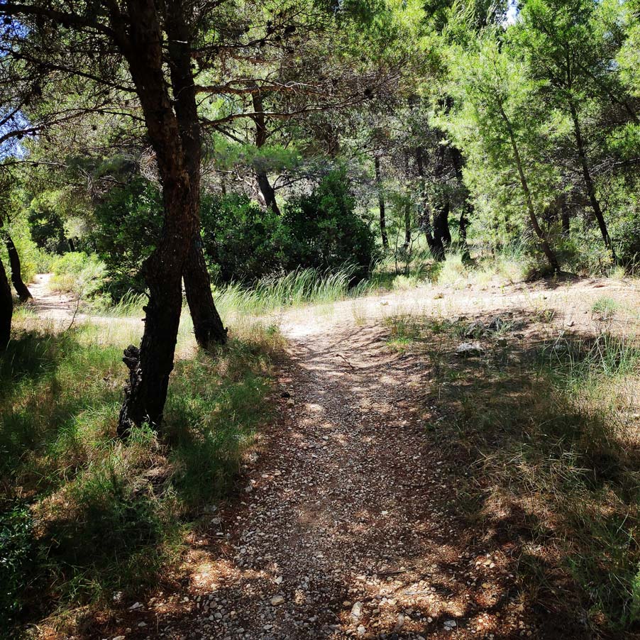 Climbing_Korakofolia_Parnitha__080450_862