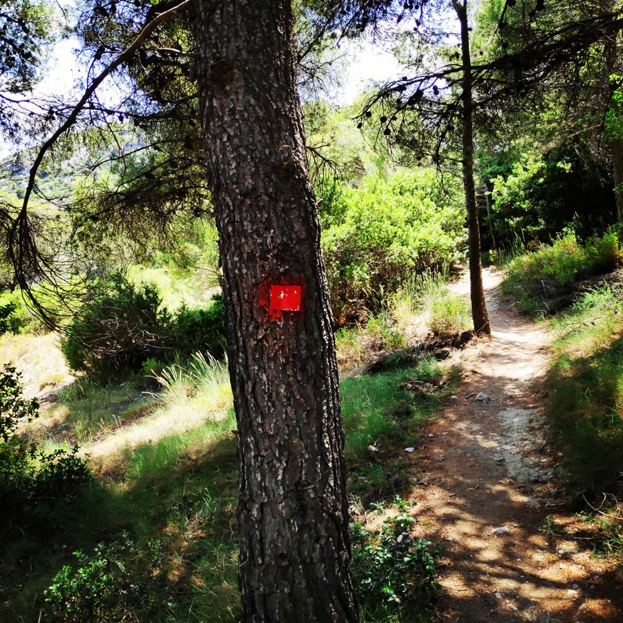 Climbing_Korakofolia_Parnitha__080506_341