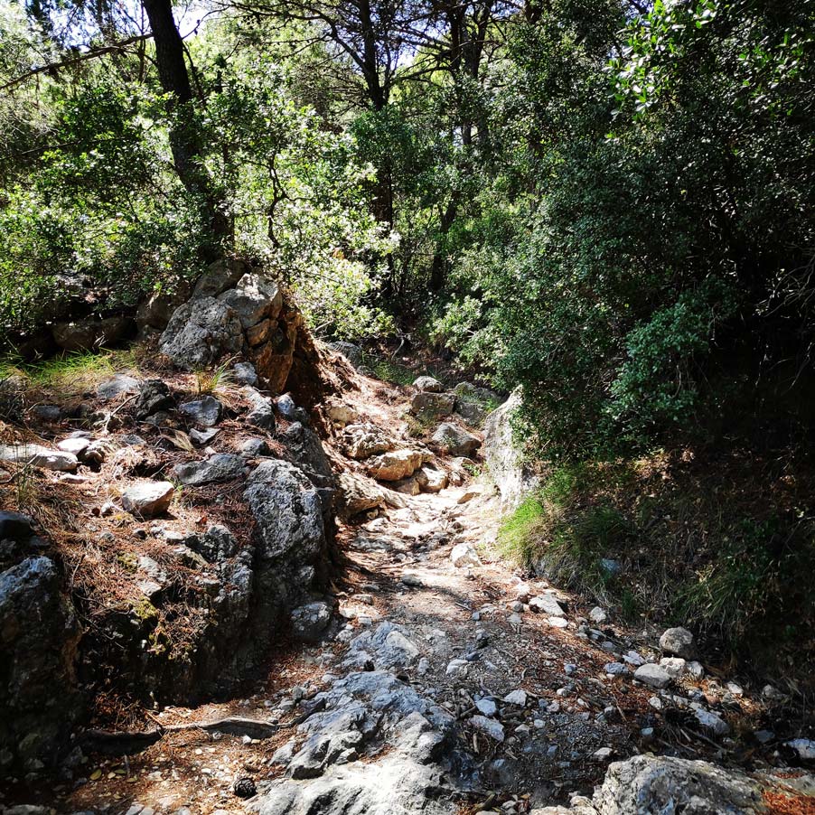 Climbing_Korakofolia_Parnitha__080550_063