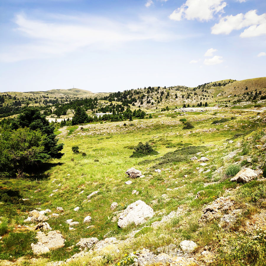 Traverse_Chelmos_Helmos_Arete_082903_322