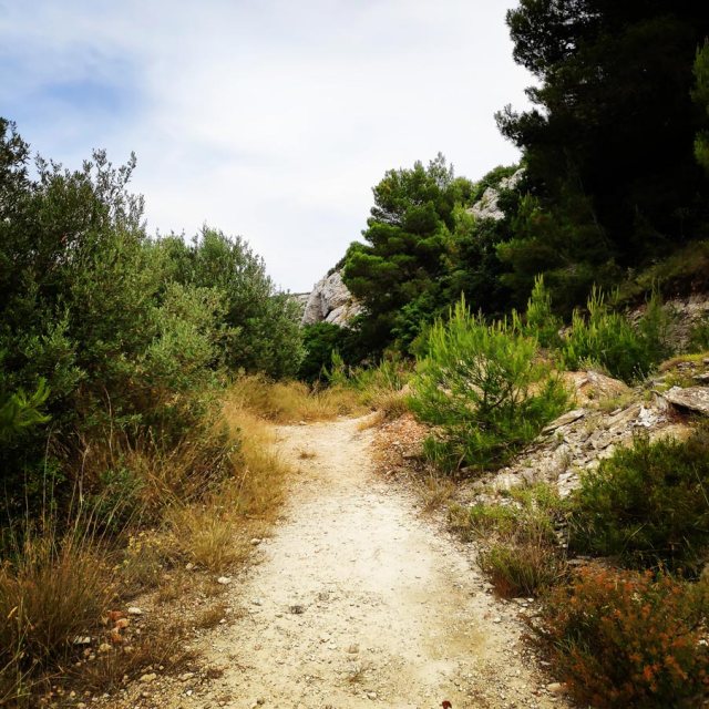 Climbing_Acharnis_Parnitha20190619_222027_478