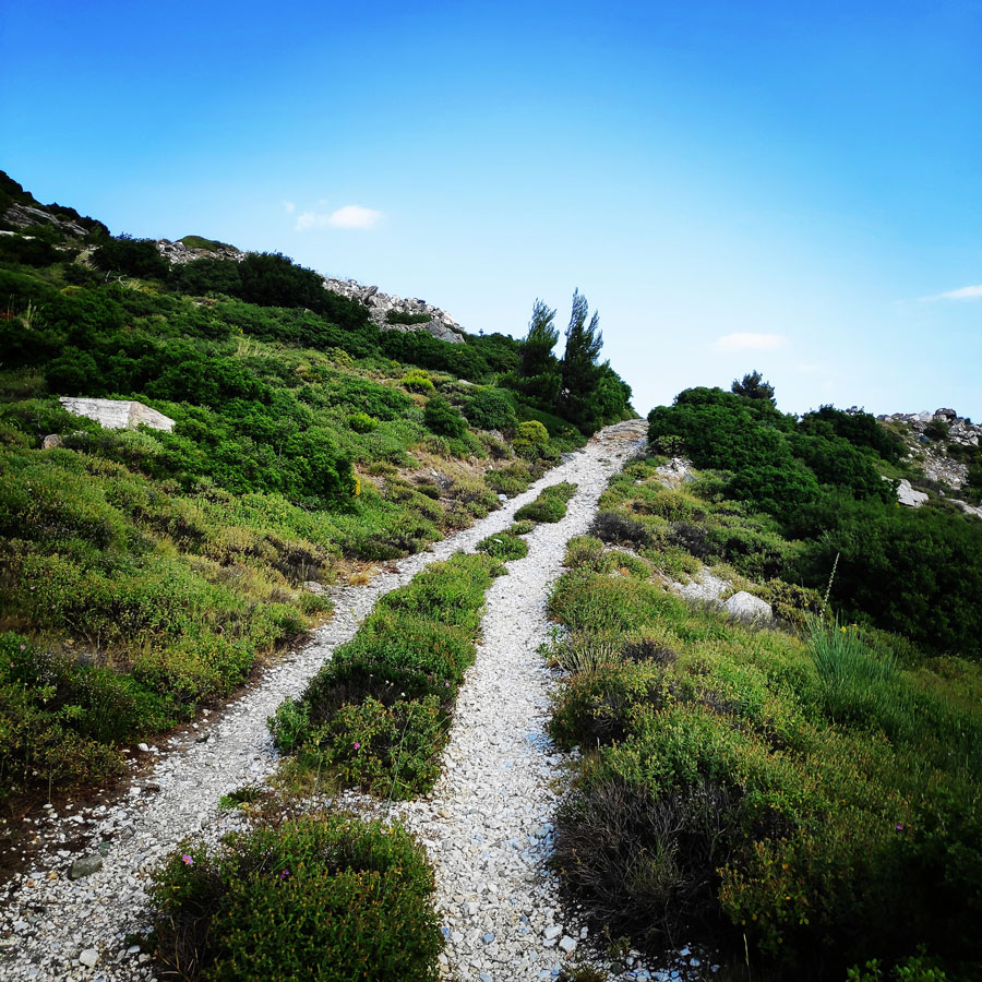 Climbing_Sibligades_Penteli_Athens_125735_417