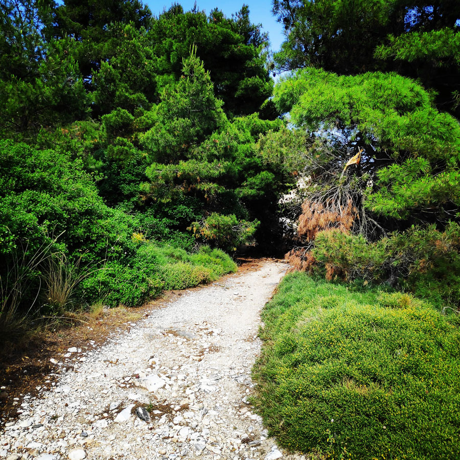 Climbing_Sibligades_Penteli_Athens_125809_892