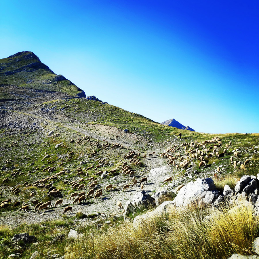 Hiking_Tzoumerka_Skala_Stamati_Katafidi_173519_576