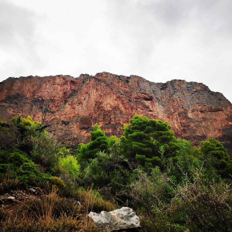Climbing_Leonidio_Mignonette_070443_154