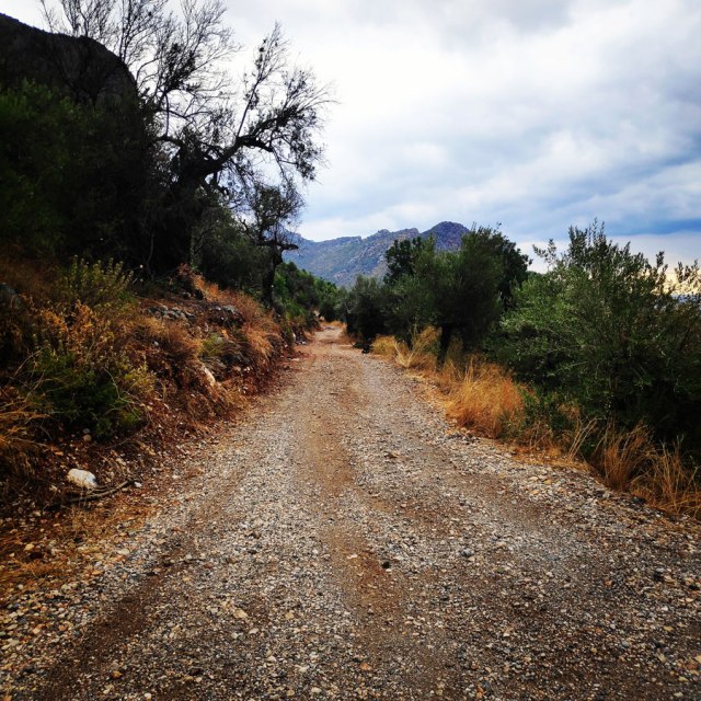 Climbing_Leonidio_Mignonette_070503_229