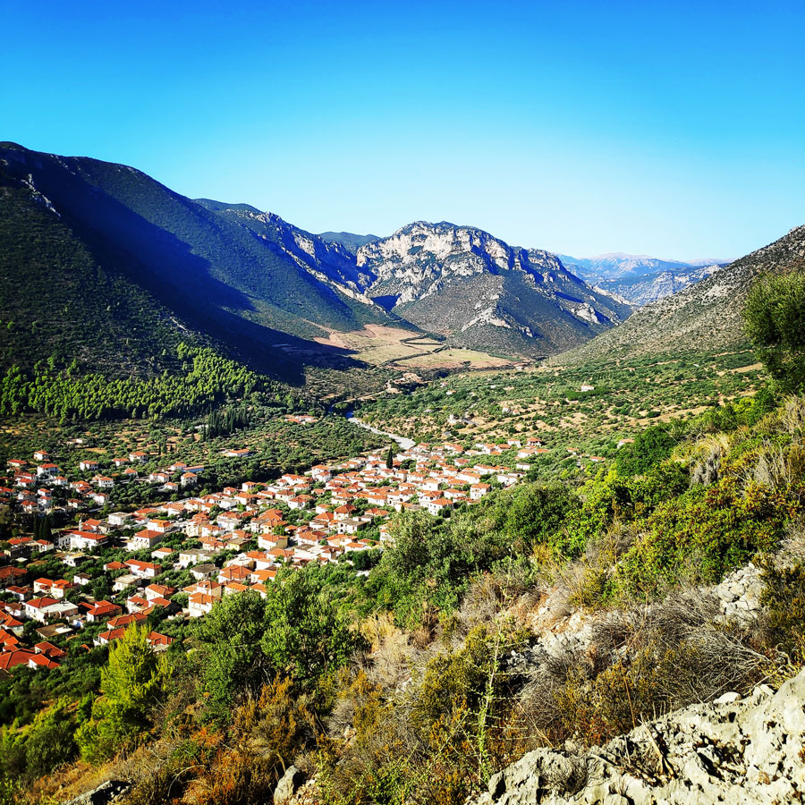 Climbing_Leonidio_Mignonette_071724_528