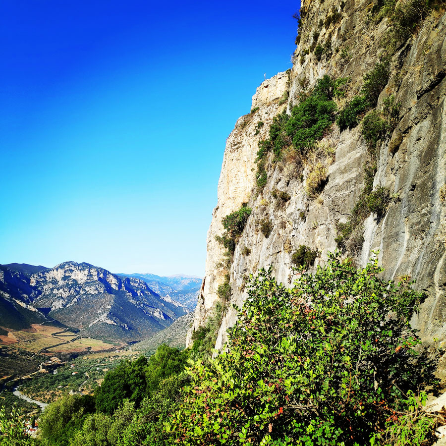 Climbing_Leonidio_Mignonette_071815_914