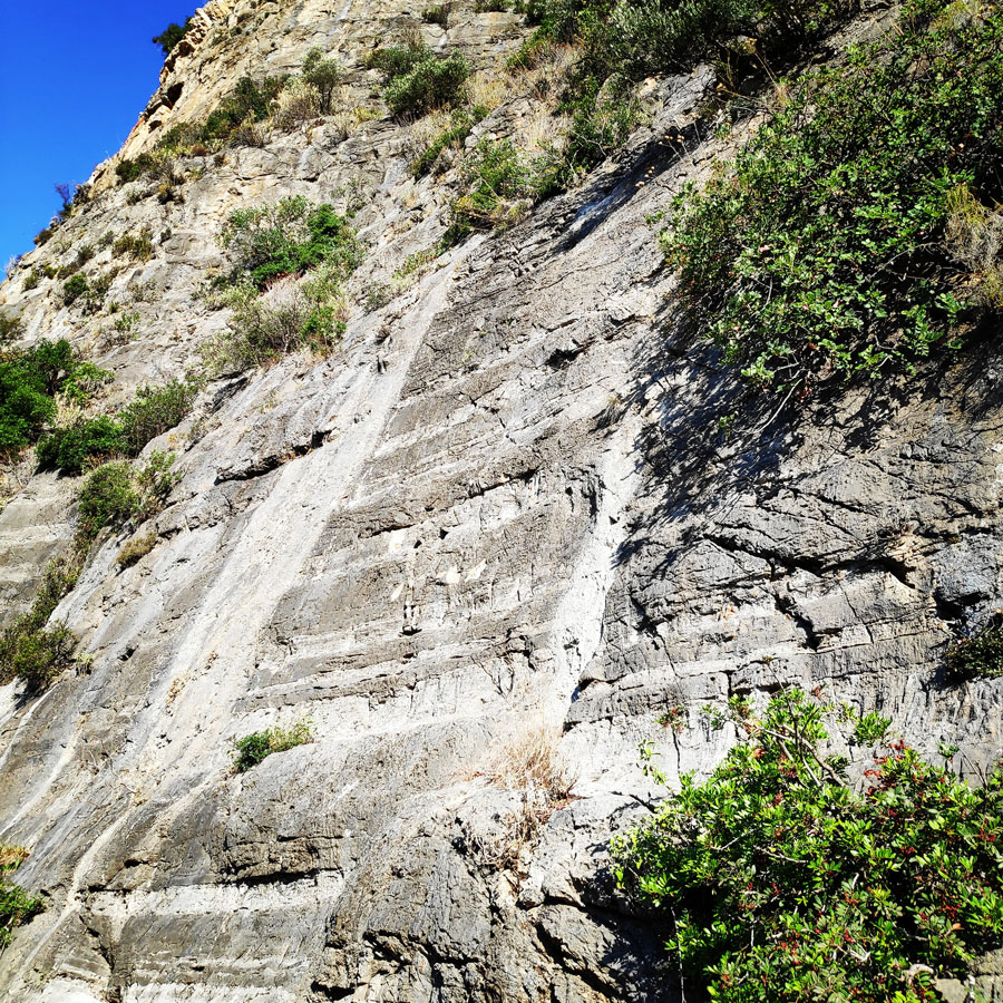 Climbing_Leonidio_Mignonette_072145_655