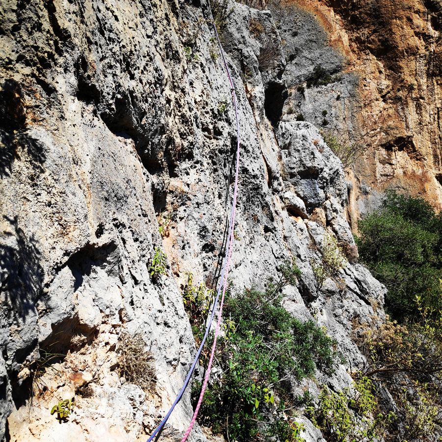 Climbing_Leonidio_Mignonette_072206_520