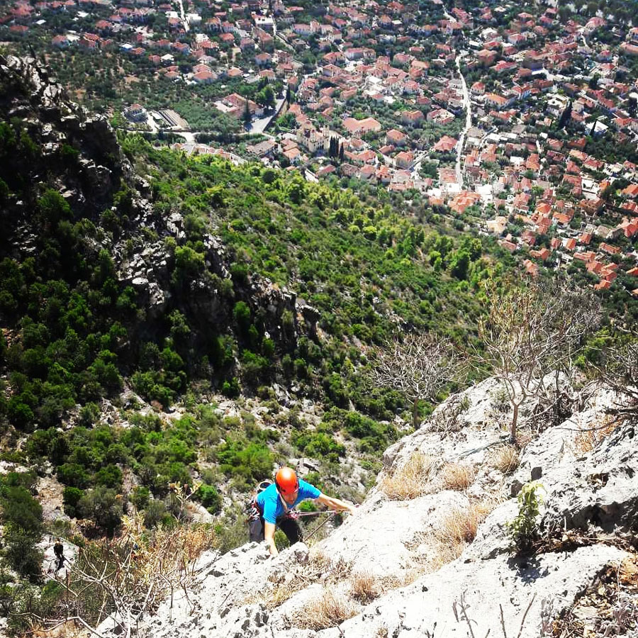 Climbing_Leonidio_Mignonette_072232_141