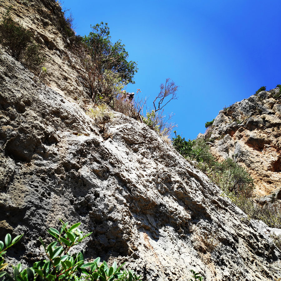Climbing_Leonidio_Mignonette_072402_485