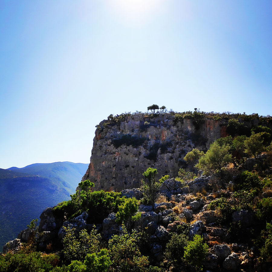 Climbing_Leonidio_Mignonette_072602_637