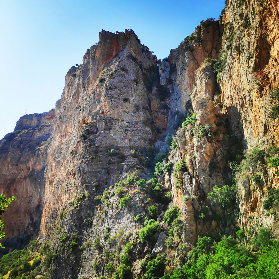 Climbing_Leonidio_Mignonette_072828_155