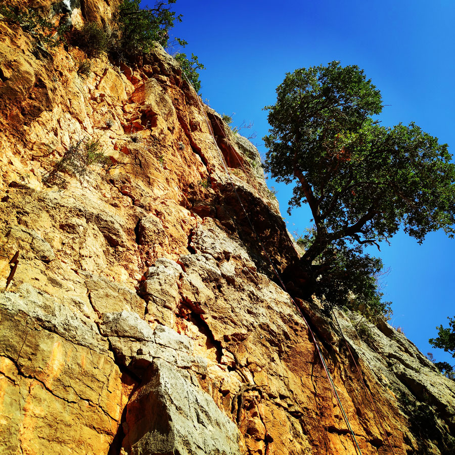 Climbing_Leonidio_Mignonette_072855_302