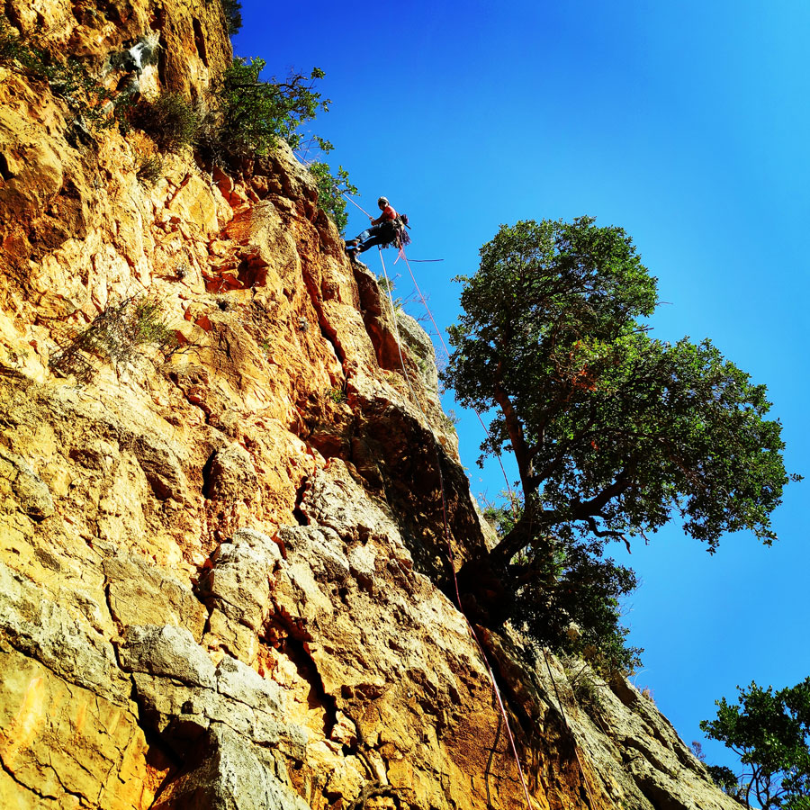 Climbing_Leonidio_Mignonette_072915_925