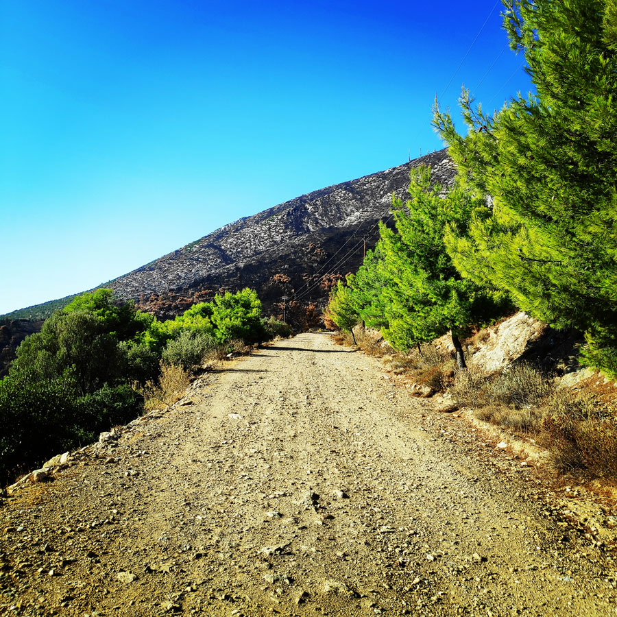 Hymettus_West_Ridge_Prosilio_Trad_Climbing_151624_527