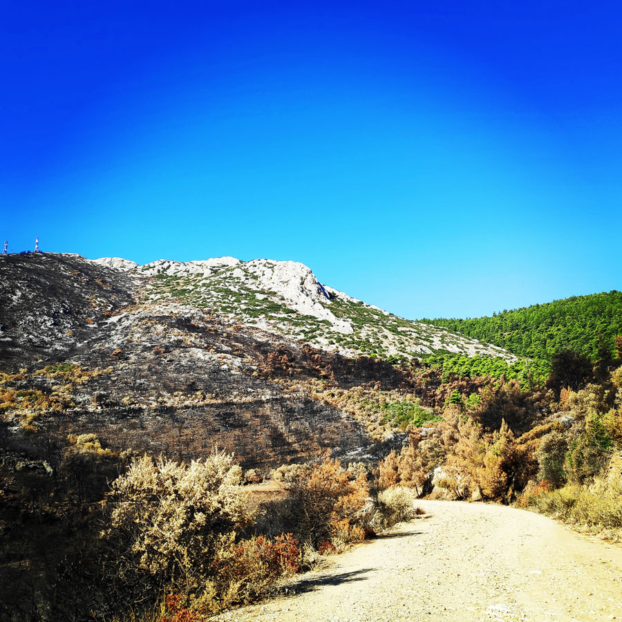 Hymettus_West_Ridge_Prosilio_Trad_Climbing_151742_511