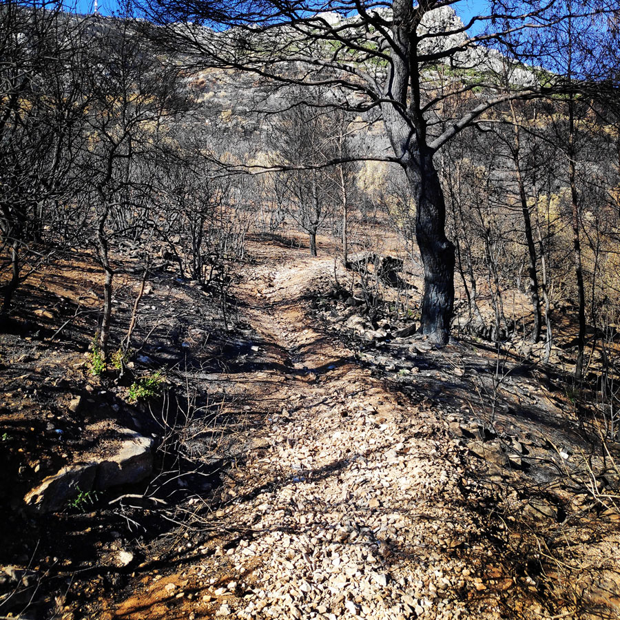 Hymettus_West_Ridge_Prosilio_Trad_Climbing_151759_074