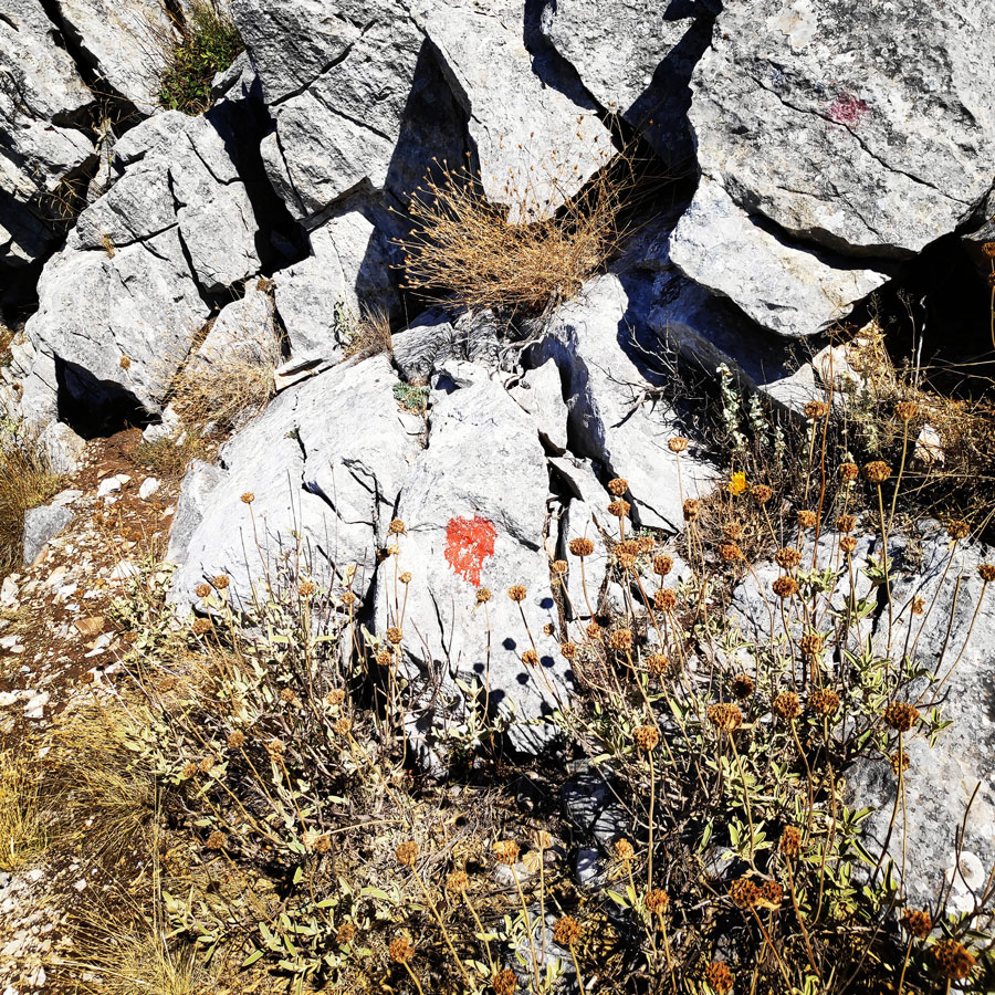 Hymettus_West_Ridge_Prosilio_Trad_Climbing_153530_699