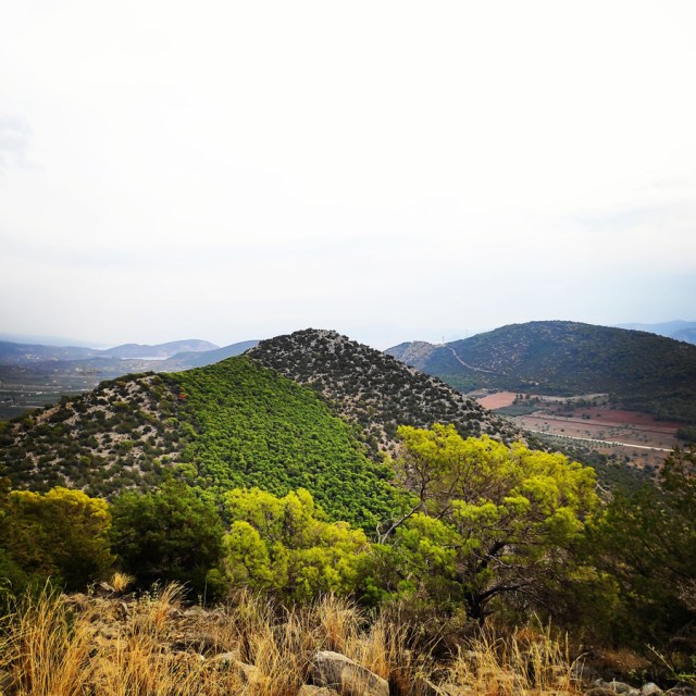 Hiking_Ermionida_Ermioni_Asprovouni_Profitis_Elias_170138_522