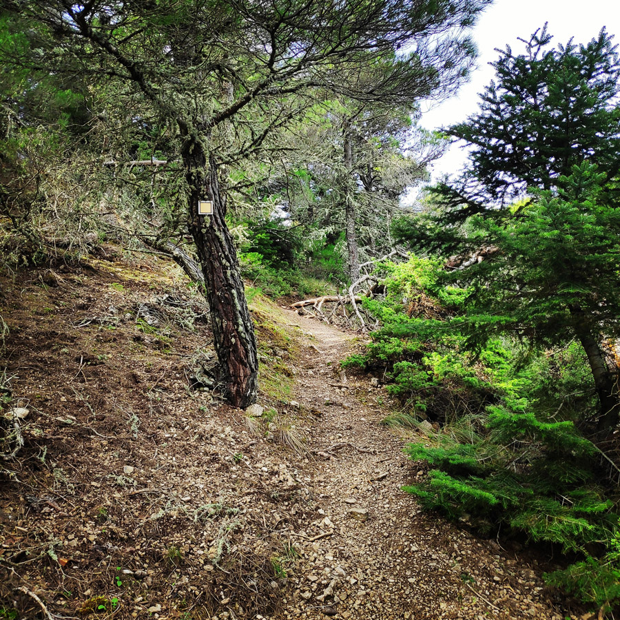 Hiking_Gerania_195950_106