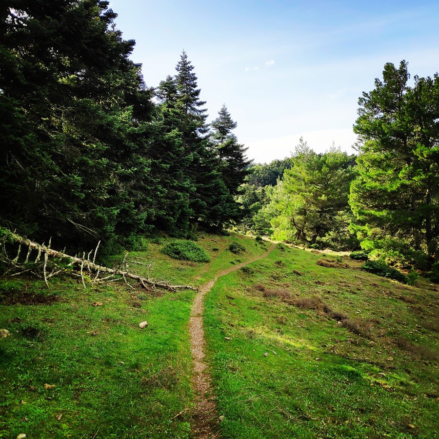 Hiking_Gerania_200412_244