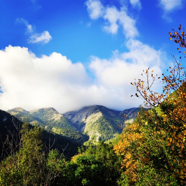 Hiking_Parnonas_Greece_203146_744